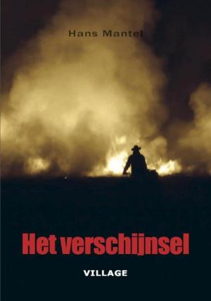 Cover of the book Het verschijnsel by Angelien Motzheim
