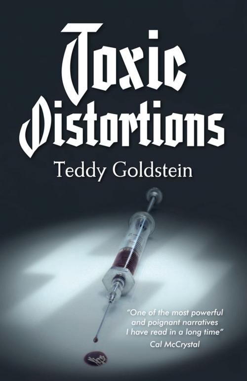 Cover of the book Toxic Distortions by teddy goldstein, Kobo