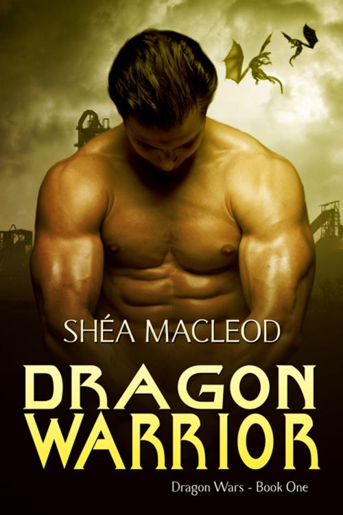 Cover of the book Dragon Warrior by Shéa MacLeod, Sunwalker Press