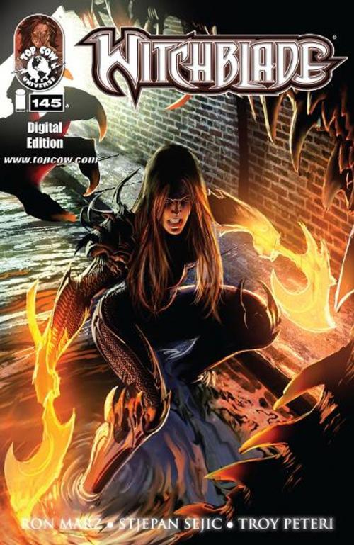 Cover of the book Witchblade #145 by Christina Z, David Wohl, Marc Silvestr, Brian Haberlin, Ron Marz, Top Cow