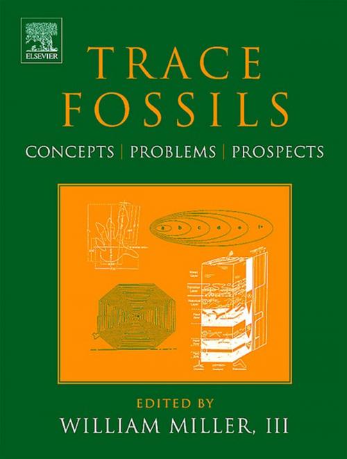 Cover of the book Trace Fossils by , Elsevier Science