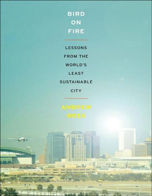 Cover of the book Bird on Fire:Lessons from the World's Least Sustainable City by Andrew Ross, Oxford University Press, USA