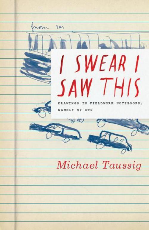 Cover of the book I Swear I Saw This by Michael Taussig, University of Chicago Press