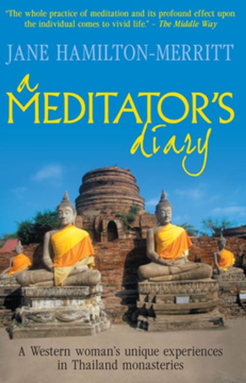 Cover of the book A Meditator's Diary by Jane Hamilton-Merritt, Profile
