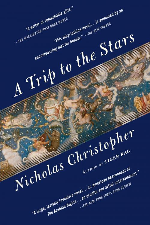 Cover of the book A Trip to the Stars by Nicholas Christopher, Random House Publishing Group