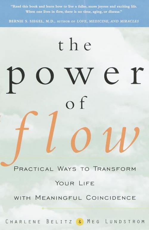 Cover of the book The Power of Flow by Charlene Belitz, Meg Lundstrom, Potter/Ten Speed/Harmony/Rodale