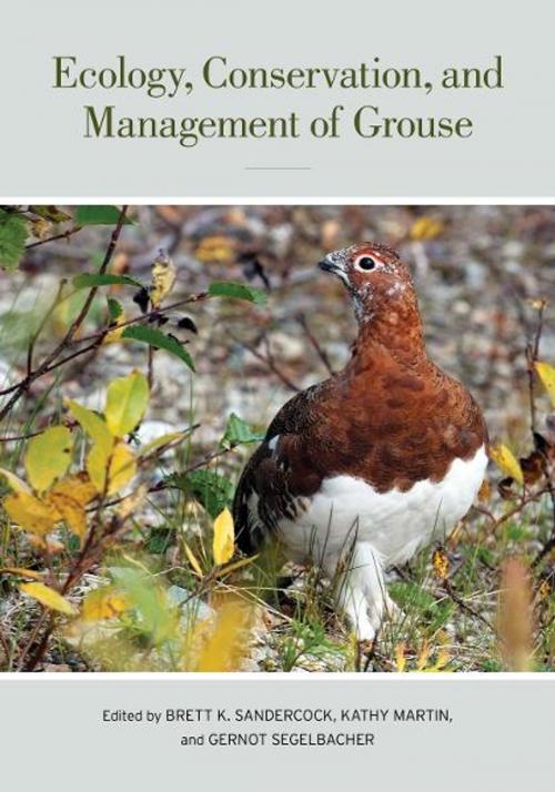 Cover of the book Ecology, Conservation, and Management of Grouse by , University of California Press