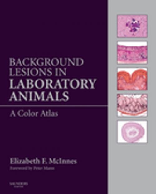 Cover of the book Background Lesions in Laboratory Animals E-Book by Elizabeth Fiona McInnes, BVSc, MRCVS, PhD, FRCPath, Elsevier Health Sciences
