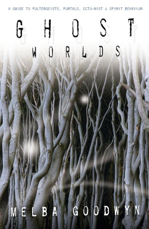 Cover of the book Ghost Worlds by Melba Goodwyn, Llewellyn Worldwide, LTD.