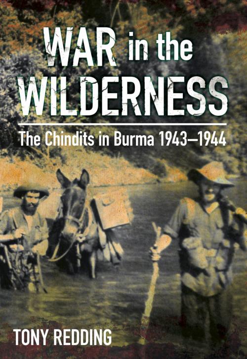 Cover of the book War in the Wilderness by Tony Redding, The History Press