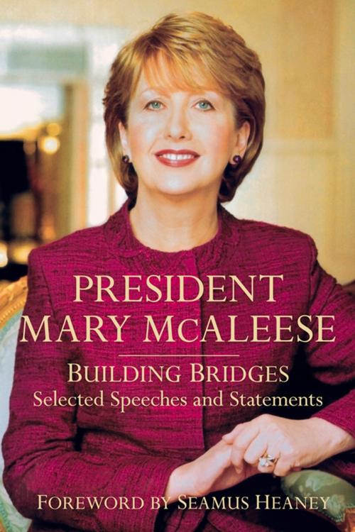 Cover of the book President Mary McAleese by Mary McAleese, The History Press