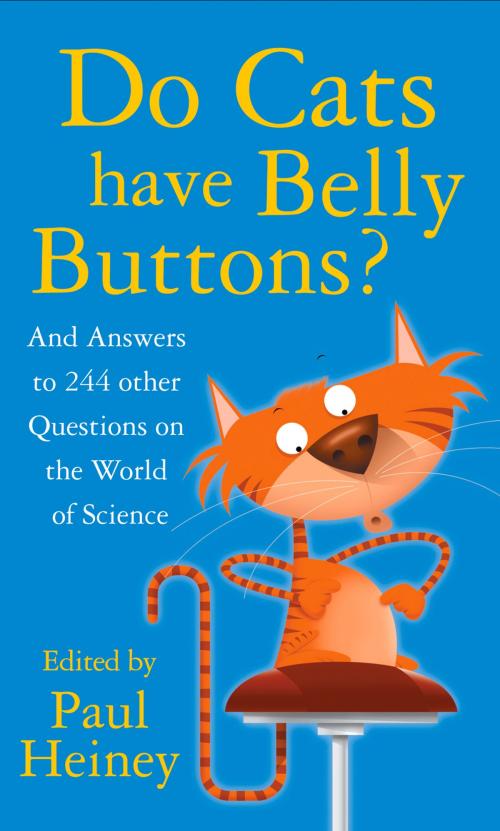 Cover of the book Do Cats Have Belly Buttons? by Paul Heiney, The History Press