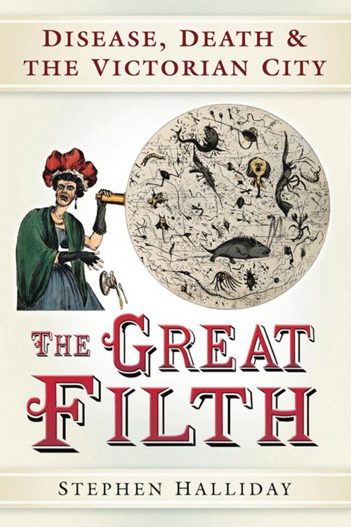Cover of the book Great Filth by Stephen Halliday, The History Press