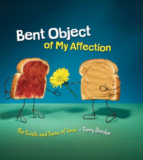 Cover of the book Bent Object of My Affection by Terry Border, Running Press