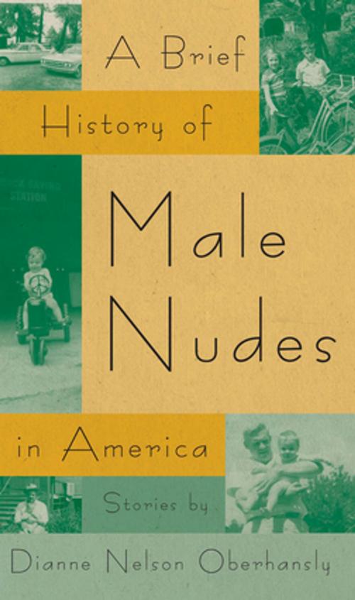 Cover of the book A Brief History of Male Nudes in America by Dianne Nelson Oberhansly, University of Georgia Press