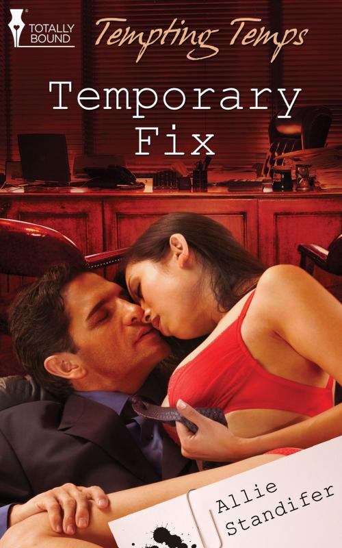 Cover of the book Temporary Fix by Allie Standifer, Totally Entwined Group Ltd