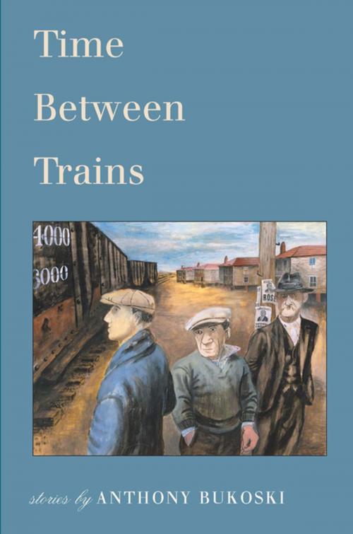 Cover of the book Time Between Trains by Anthony Bukoski, Holy Cow! Press