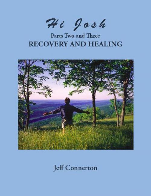 Cover of the book Hi Josh - Parts Two and Three: Recovery and Healing by Jeff Connerton, Spang Productions