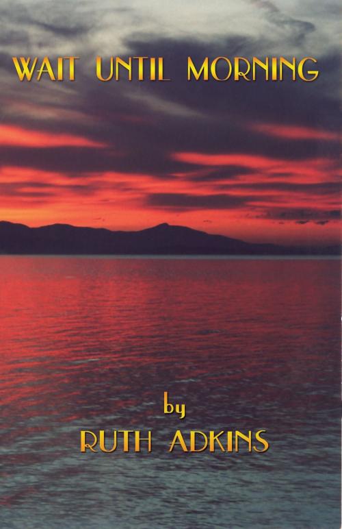 Cover of the book Wait until Morning by Ruth Adkins, Diamond River Books