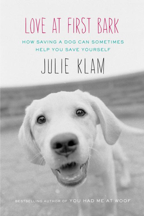 Cover of the book Love at First Bark by Julie Klam, Penguin Publishing Group