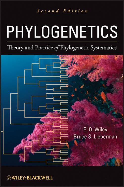 Cover of the book Phylogenetics by E. O. Wiley, Bruce S. Lieberman, Wiley