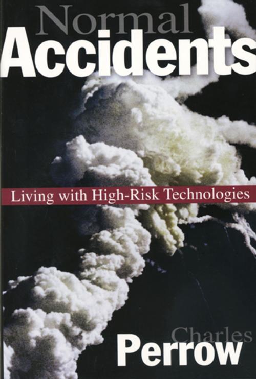 Cover of the book Normal Accidents by Charles Perrow, Princeton University Press
