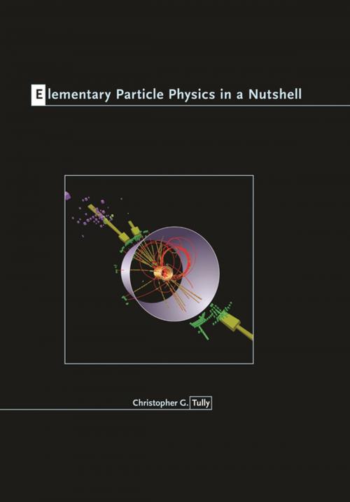 Cover of the book Elementary Particle Physics in a Nutshell by Christopher G. Tully, Princeton University Press