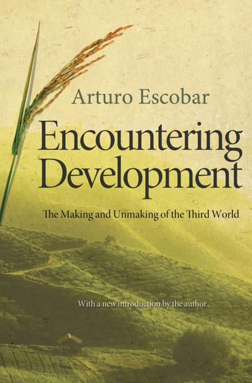 Cover of the book Encountering Development by Arturo Escobar, Princeton University Press