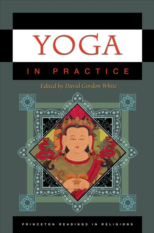 Cover of the book Yoga in Practice by , Princeton University Press