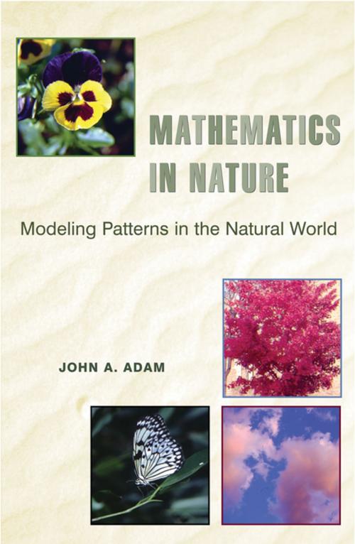 Cover of the book Mathematics in Nature by John A. Adam, Princeton University Press