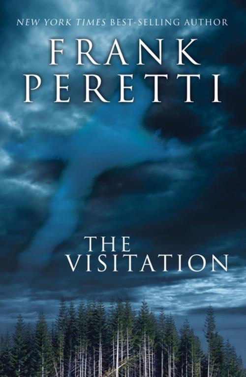 Cover of the book The Visitation by Frank Peretti, Thomas Nelson
