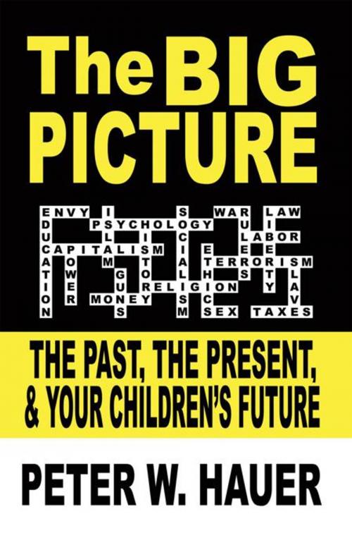 Cover of the book The Big Picture by Peter W. Hauer, AuthorHouse