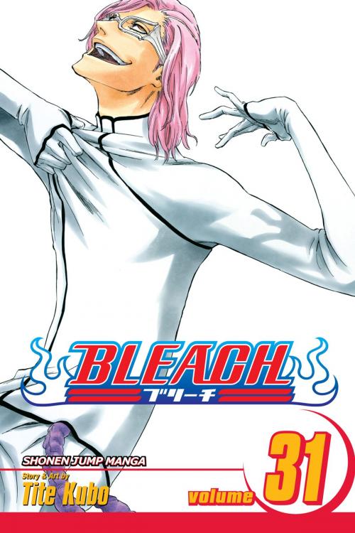 Cover of the book Bleach, Vol. 31 by Tite Kubo, VIZ Media