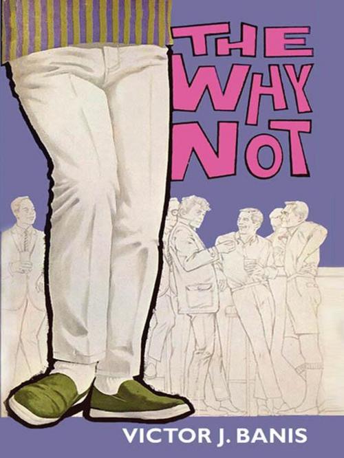 Cover of the book The Why Not by Victor J. Banis, Wildside Press LLC
