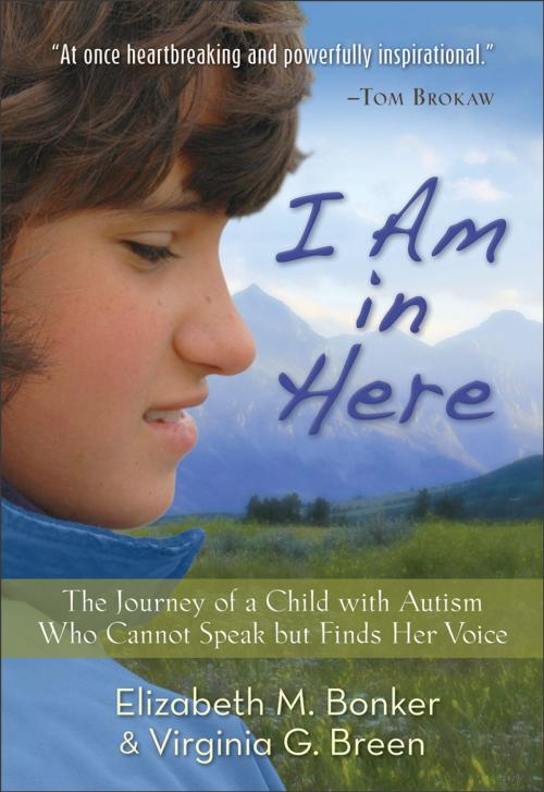 Cover of the book I Am in Here by Elizabeth M. Bonker, Virginia G. Breen, Baker Publishing Group