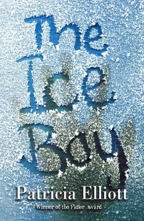 Cover of the book The Ice Boy by Patricia Elliott, Hachette Children's