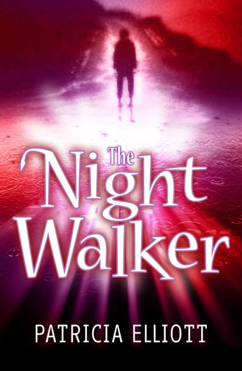 Cover of the book The Night Walker by Patricia Elliott, Hachette Children's