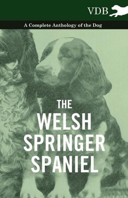 Cover of the book The Welsh Springer Spaniel - A Complete Anthology of the Dog by Various, Read Books Ltd.