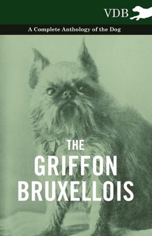 Cover of the book The Griffon Bruxellois - A Complete Anthology of the Dog by Various, Read Books Ltd.