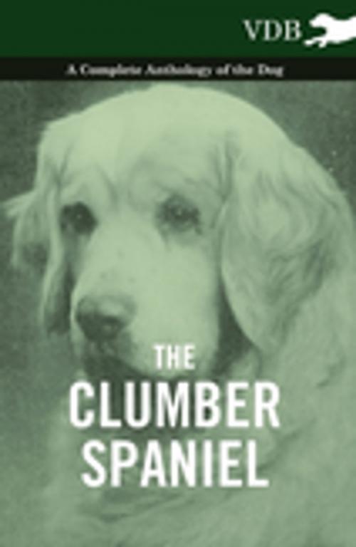 Cover of the book The Clumber Spaniel - A Complete Anthology of the Dog - by Various, Read Books Ltd.