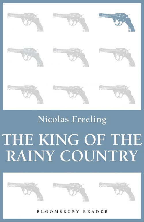 Cover of the book The King of the Rainy Country by Nicolas Freeling, Bloomsbury Publishing