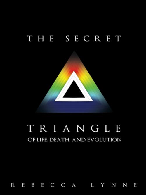 Cover of the book The Secret Triangle by Rebecca Lynne, Balboa Press