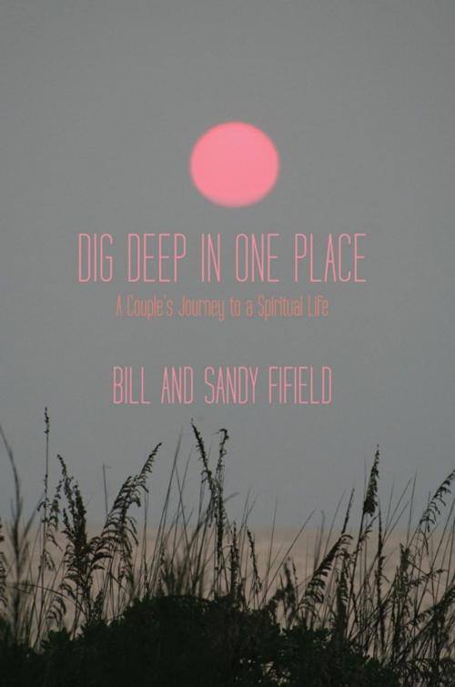 Cover of the book Dig Deep in One Place by Bill Fifield, Sandy Fifield, Balboa Press