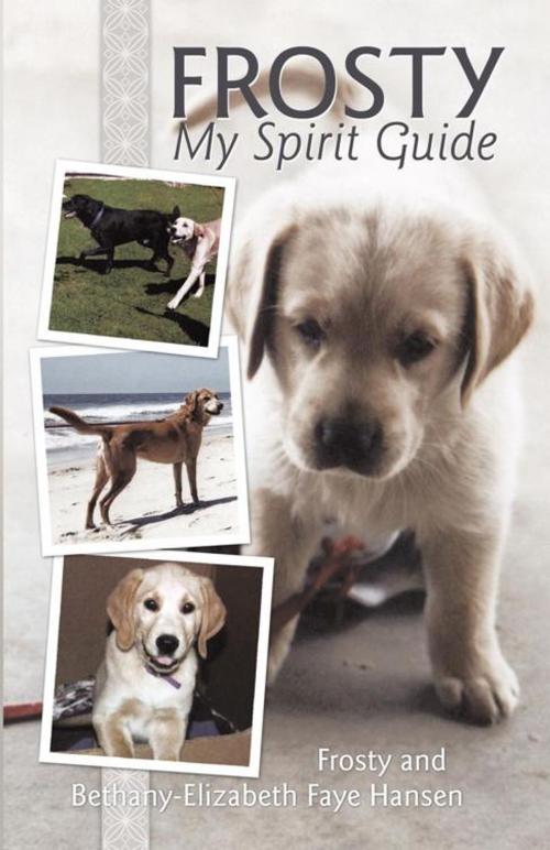 Cover of the book Frosty My Spirit Guide by Bethany-Elizabeth Faye Hansen, Balboa Press