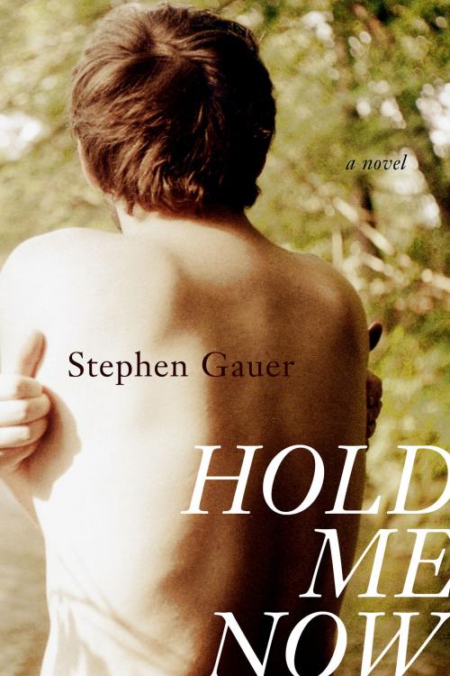 Cover of the book Hold Me Now by Stephen Gauer, Freehand