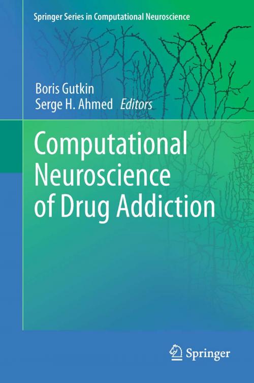 Cover of the book Computational Neuroscience of Drug Addiction by , Springer New York