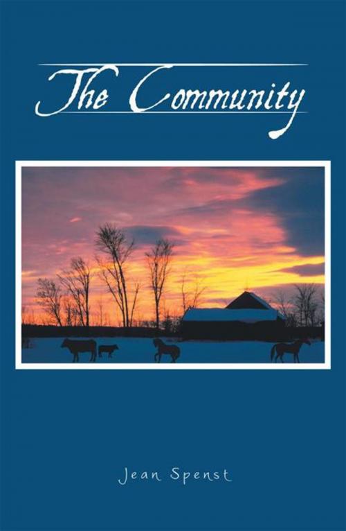 Cover of the book The Community by Jean Spenst, iUniverse