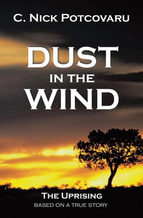 Cover of the book Dust in the Wind by C. Nick Potcovaru, iUniverse