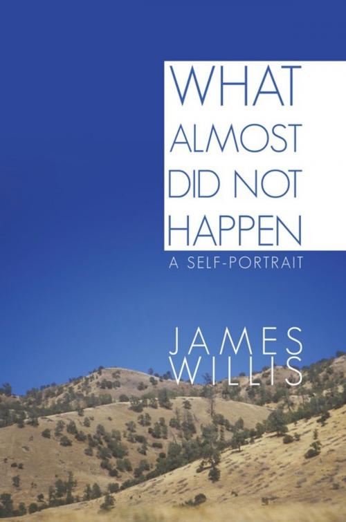 Cover of the book What Almost Did Not Happen by James Willis, iUniverse