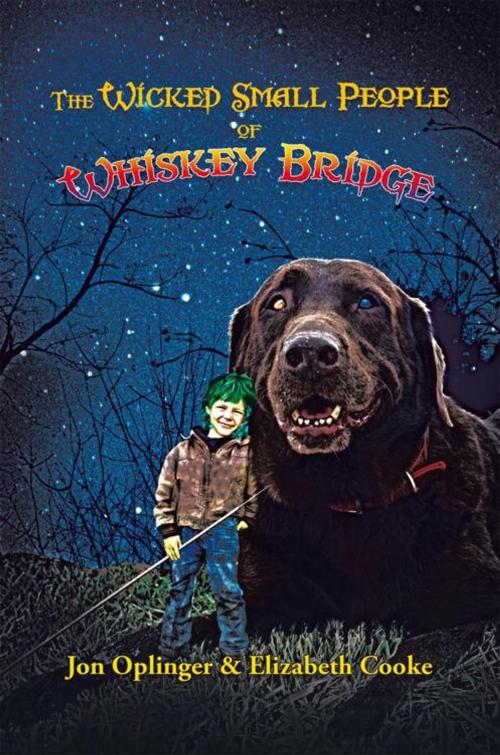Cover of the book The Wicked Small People of Whiskey Bridge by Elizabeth Cooke, Jon Oplinger, iUniverse